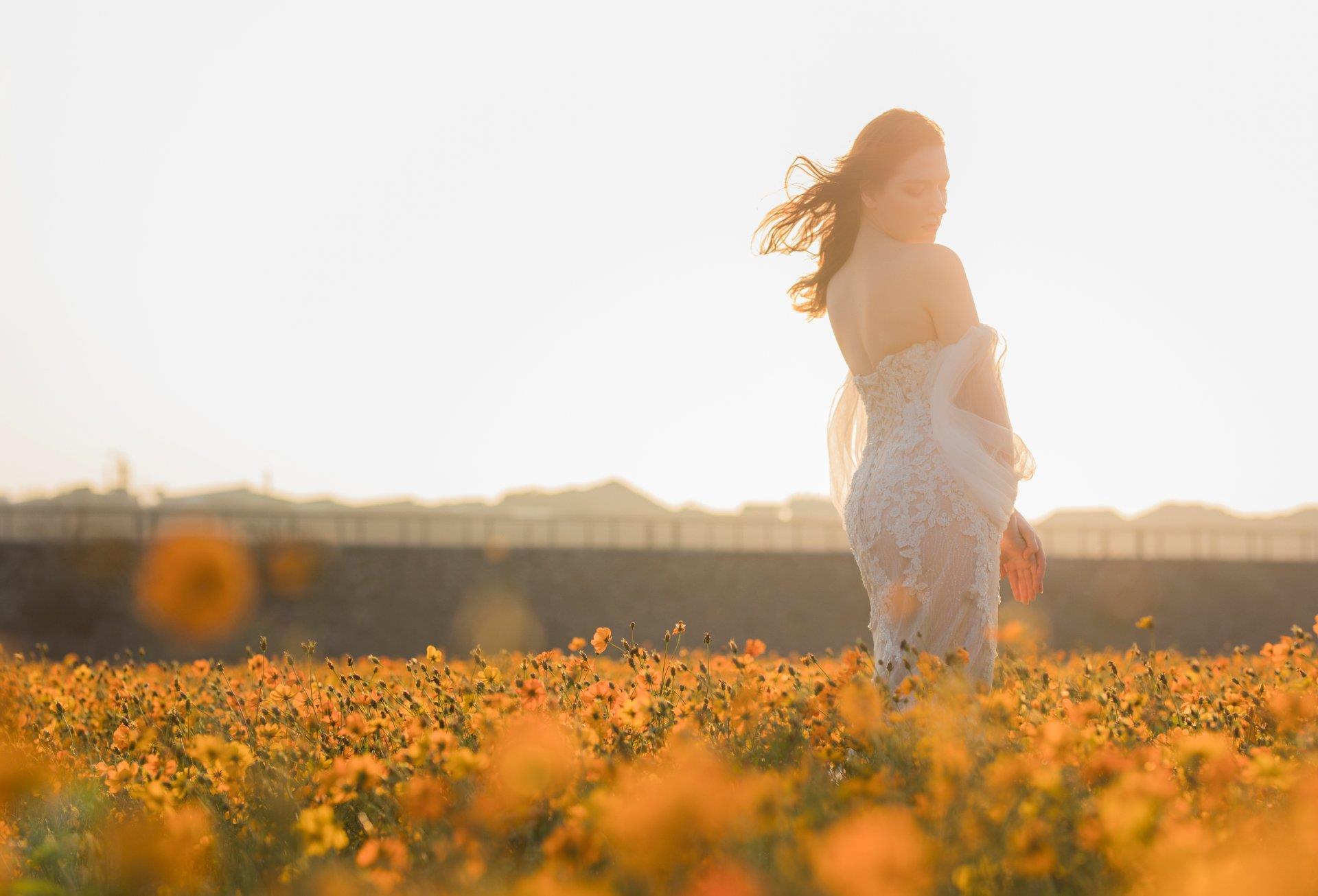 WONADRESS-1193-P02-67-1-波斯菊