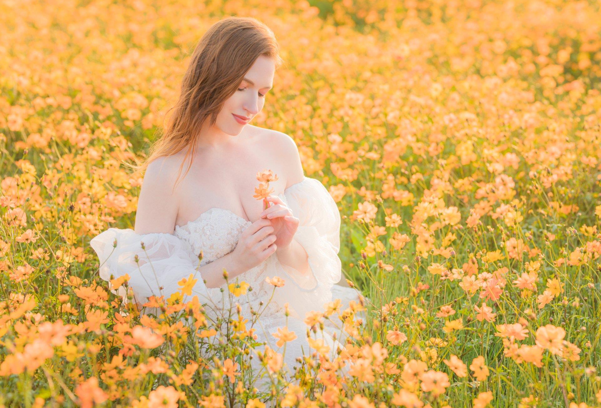 WONADRESS-1193-P02-74-1-波斯菊