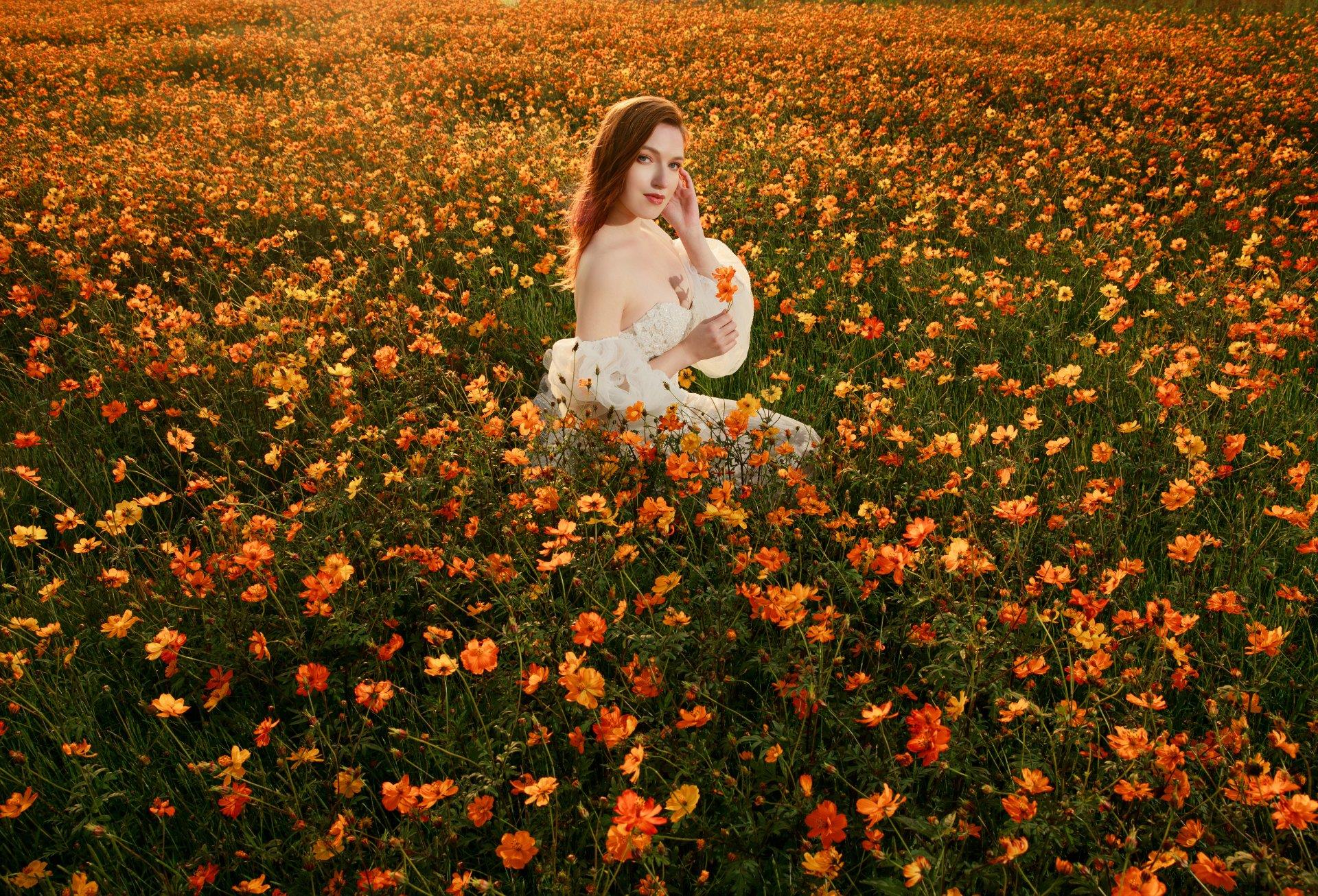 WONADRESS-1193-P05-140-1-波斯菊