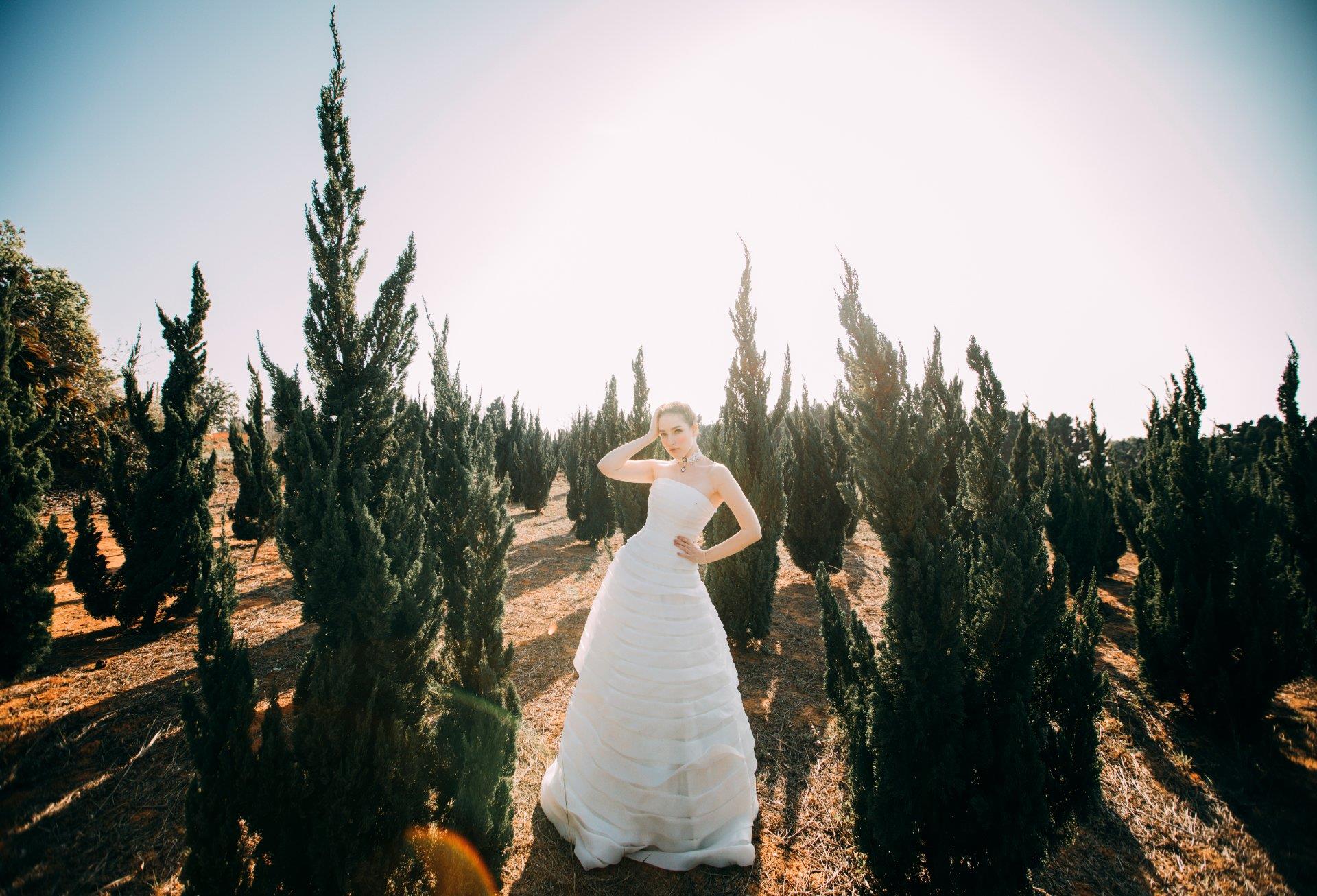 WONADRESS-0277-P02-109-仙境系森林