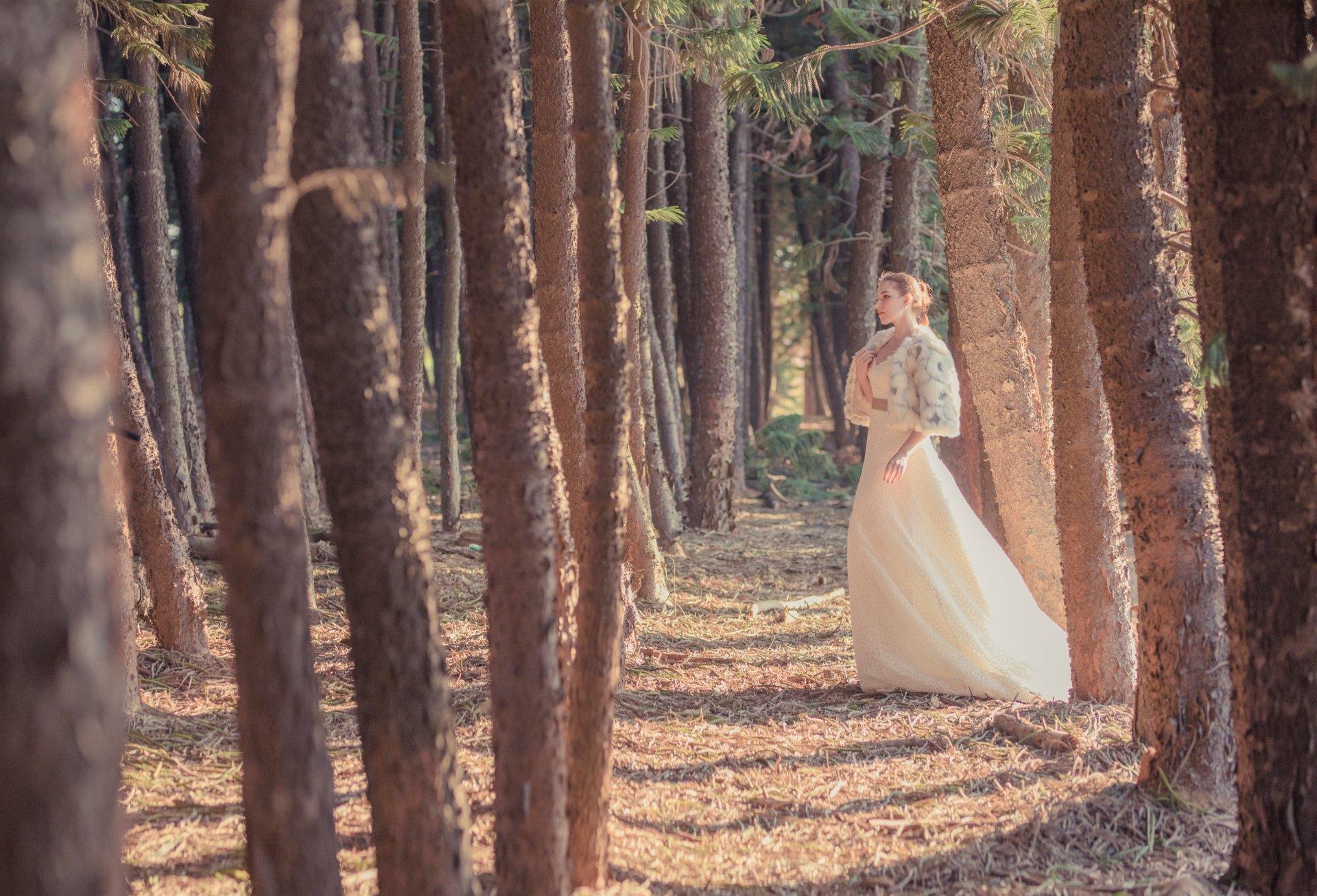 WONADRESS-0915-P02-141-仙境系森林