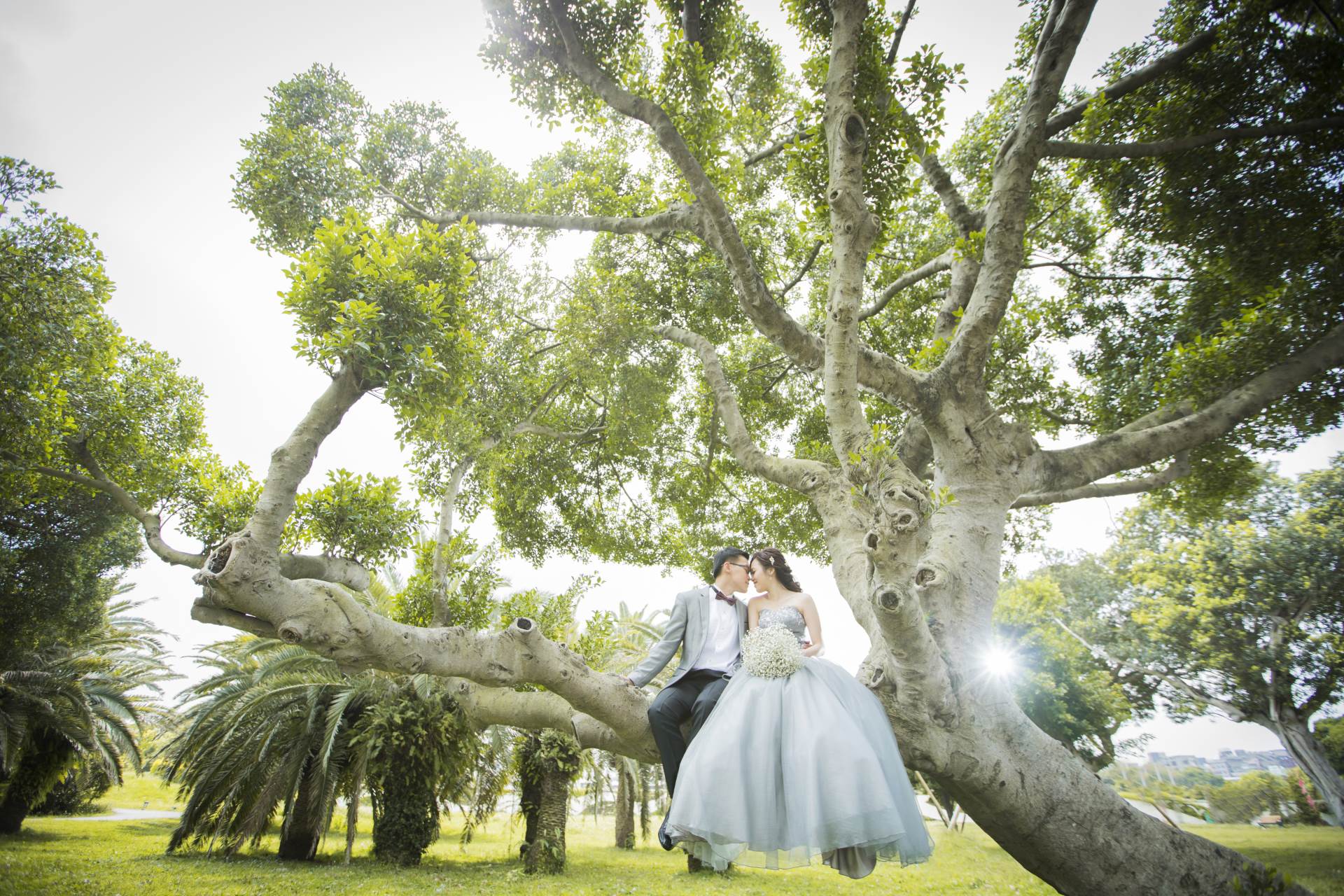 婚紗攝影,懶人包,婚紗工作室,自助婚紗,拍婚紗,婚紗公司