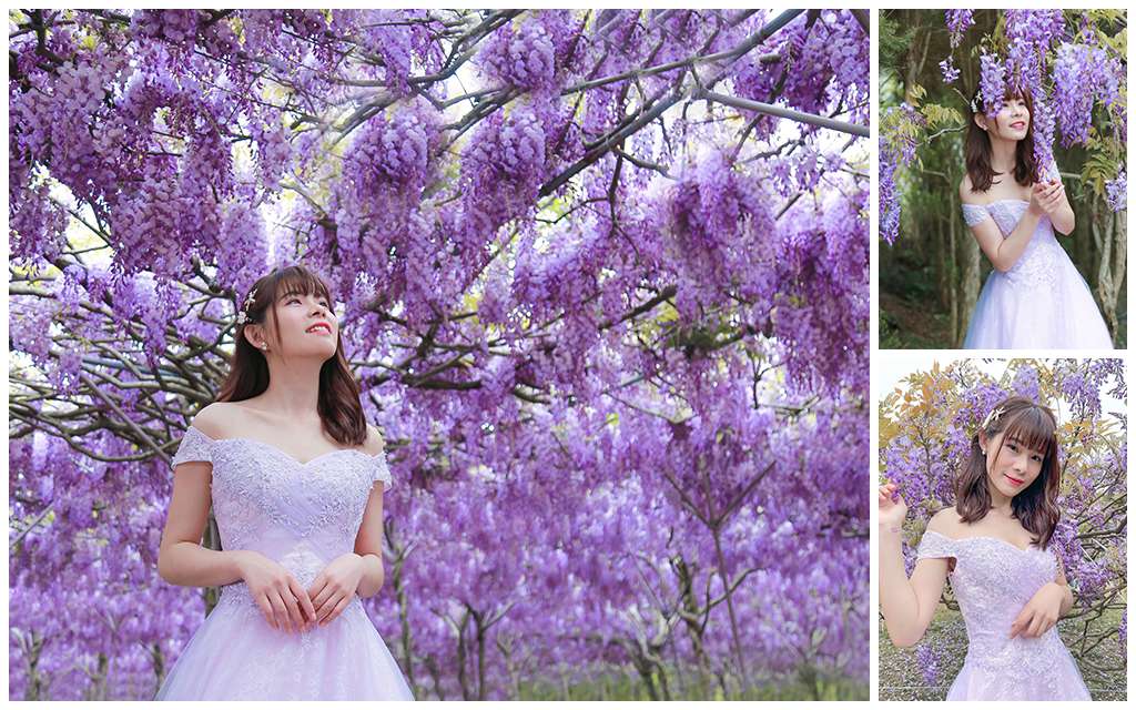 春季限定！ 春天就該來一場紫色浪漫！！